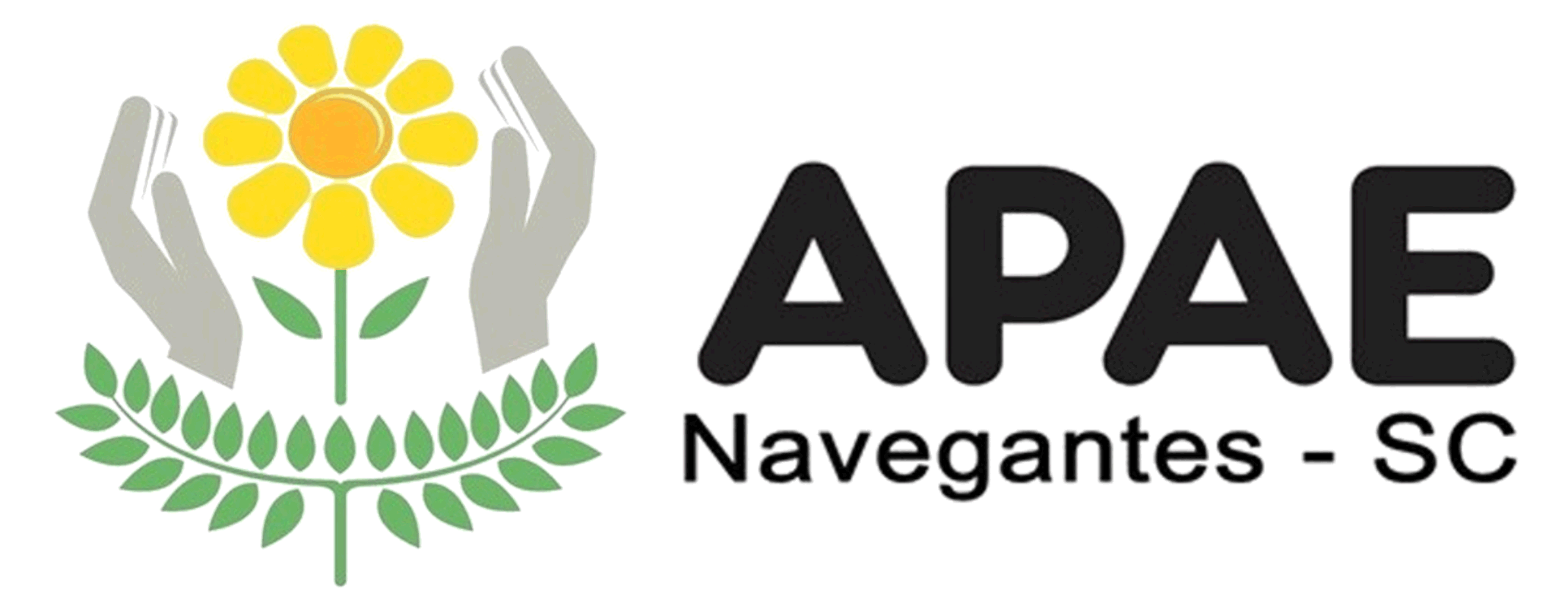 Logo APAE Navegantes